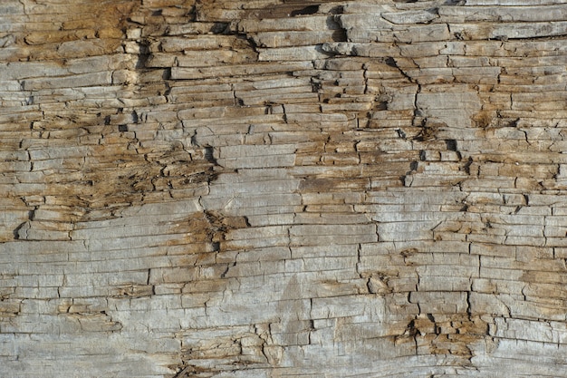 Alte Markierungen auf einem Holz