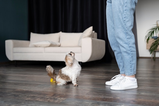 Alte Person mit ihrem Schoßhund