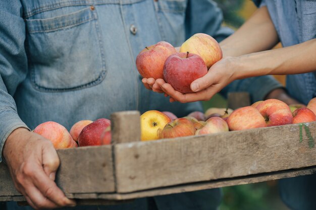 Alter Senior, der in einem Sommergarten mit Ernte steht