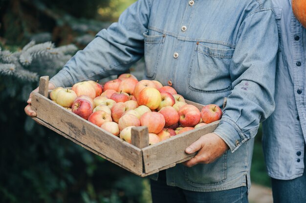 Alter Senior, der in einem Sommergarten mit Ernte steht