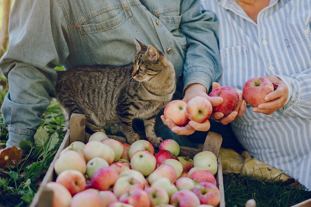 Altes paar, das in einem sommergarten mit ernte sitzt