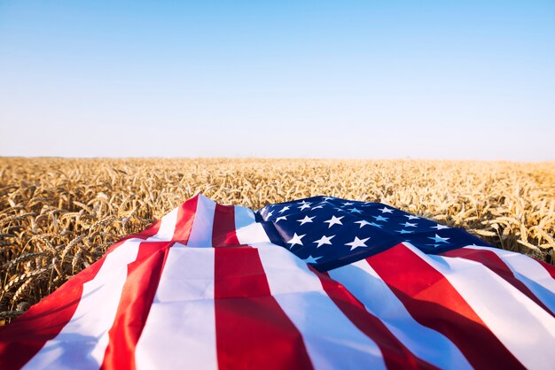 Amerikanische Flagge im Weizenfeld, die starke Landwirtschaft, Wirtschaft und Freiheit der Vereinigten Staaten von Amerika darstellt