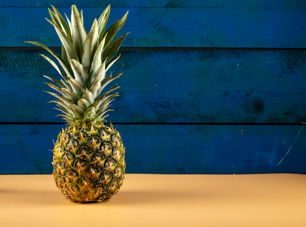 Ananas lokalisiert auf einer blauen Wand auf der orangefarbenen Farbtabelle