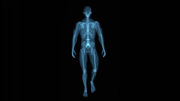 Anatomisches Konzept eines Mannes mit Rückenschmerzenx9