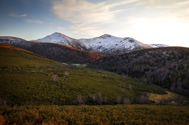 Ancares Berge in Spanien, umgeben von Bäumen und Gras