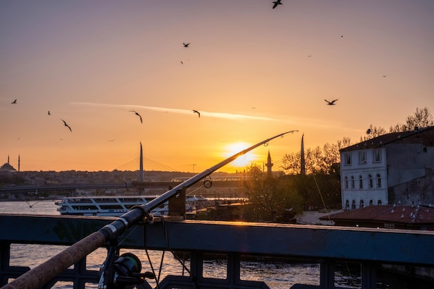 Angelausrüstung im vordergrund des herausragenden gelben sonnenuntergangs der türkischen meeresfliegenmöwen