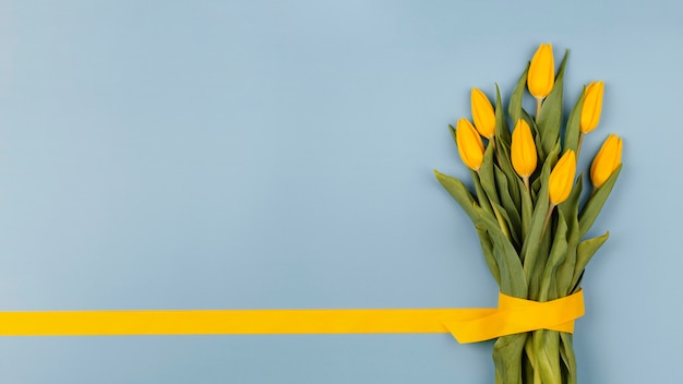 Kostenloses Foto anordnung der frühlingsblumen mit kopierraum