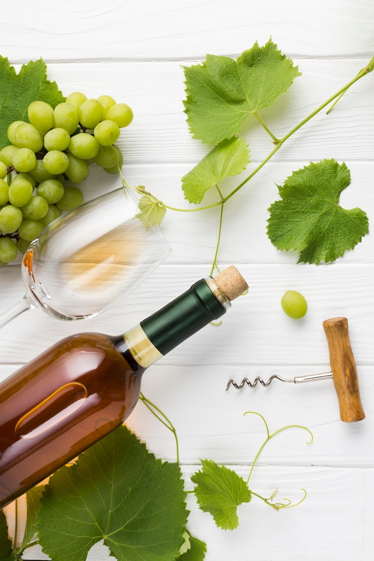 Kostenlose Foto anordnung für reben und weinbrand