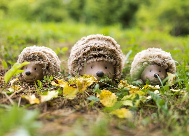 Anordnung mit Igelspielwaren auf Gras