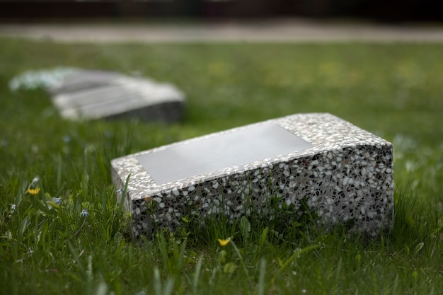 Ansicht des Grabsteins im Gras