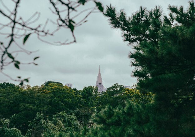 Ansicht des Wolkenkratzers in der Stadt von der Vegetation