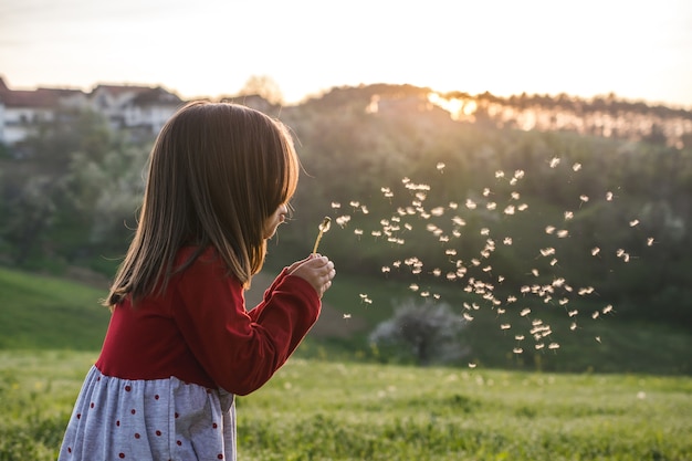 Ansicht eines Kindes, das eine rote Bluse trägt und Löwenzahn in einem Feld während des sonnigen Tages bläst