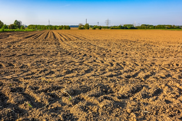 Ansicht eines landwirtschaftlichen Feldes in einem ländlichen Gebiet, das an einem hellen sonnigen Tag gefangen genommen wird