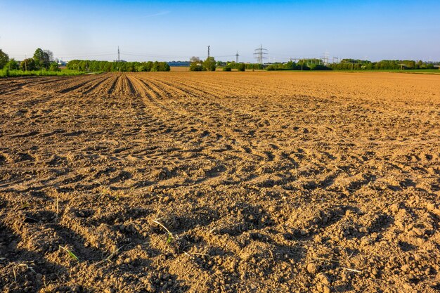 Ansicht eines landwirtschaftlichen Feldes in einem ländlichen Gebiet, das an einem hellen sonnigen Tag gefangen genommen wird