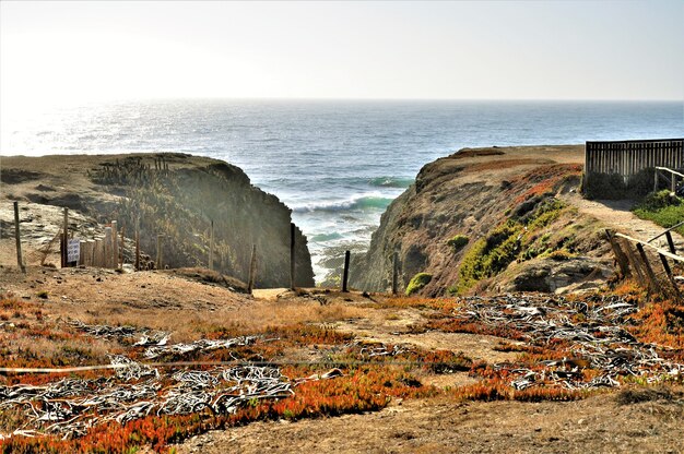 Ansicht nahe dem Strand in Punta de Lobos in Pichilemu, Chile an einem sonnigen Tag