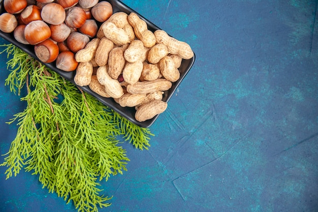 Ansicht von oben frische Nüsse Erdnüsse und Haselnüsse innerhalb der Platte auf blauem Hintergrund Walnussfarben Snack Cips Nuss Foto Pflanzenbaum