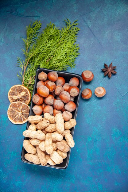 Ansicht von oben frische Nüsse Haselnüsse und Erdnüsse auf blauem Hintergrund Walnuss Farbe Snack Cips Pflanze Baumnuss Foto