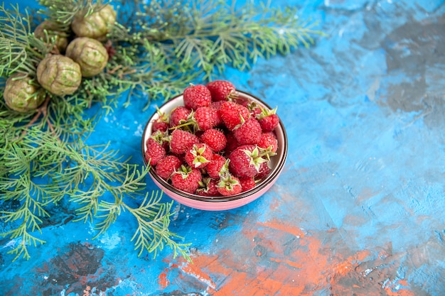 Ansicht von unten frische Himbeeren in Schüssel Pine Tree Branch auf blau-rotem Tisch freien Raum