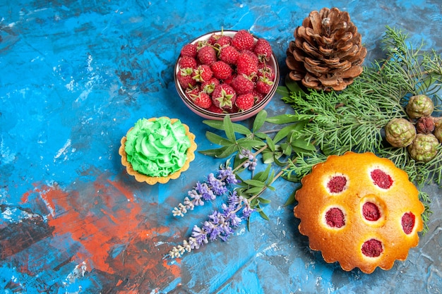 Kostenloses Foto ansicht von unten himbeerschale kleine herbe beerenkuchen äste auf blauem tisch