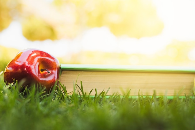 Kostenloses Foto apple ordnete nahe buch auf gras an