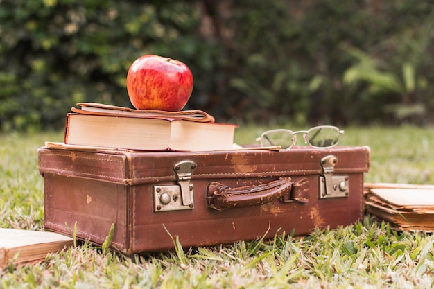 Apple und Buch auf Koffer nahe Gläsern