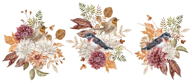 Aquarell herbstvögel mit gartenblumen - burgunder, weiß und terrakotta astern und chrysanthemen und herbstblätter. herbststräuße. Premium Fotos