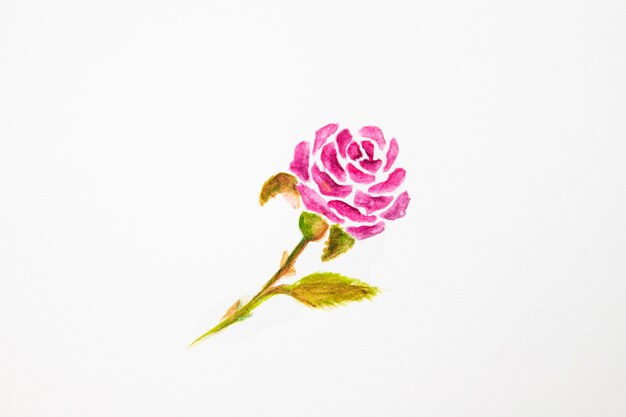 Aquarell Rose Design hautnah