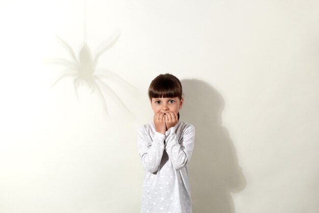 Arachnophobie. Erschrockenes kleines Mädchen mit dunklen Haaren und Spinnenschatten an der Wand, kleines Kind, das direkt mit großen verängstigten Augen schaut und sich die Fingernägel beißt, kleidet sich lässig.