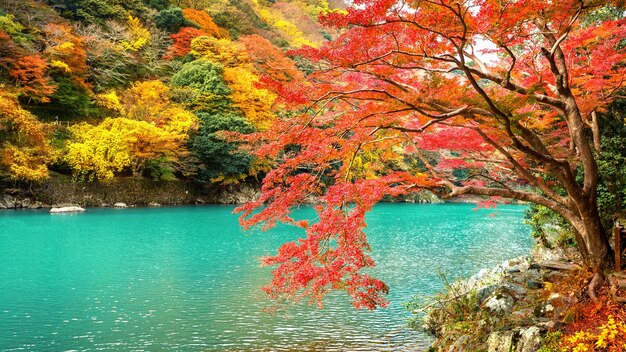 Arashiyama in der Herbstsaison entlang des Flusses in Kyoto, Japan.