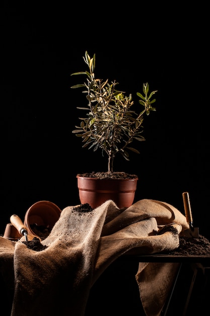 Arbor Day Feier mit eingemachtem Baum auf dem Tisch