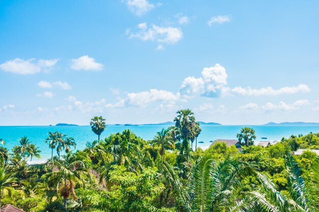 Arial Blick auf Meer und Strand