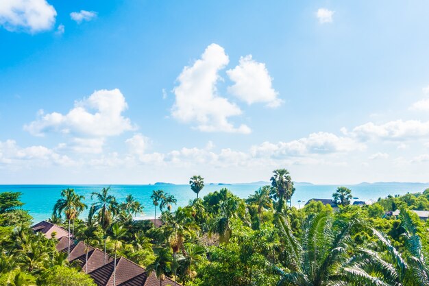 Arial Blick auf Meer und Strand