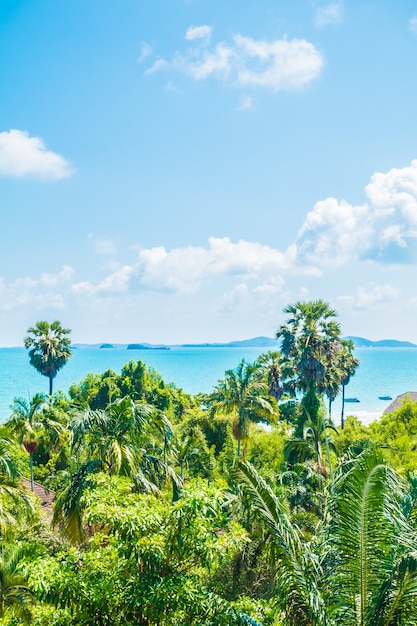 Arial Blick auf Meer und Strand