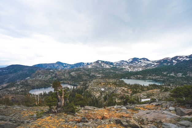 Ariel schoss von Klippen und Bergen mit Bäumen, die um sie nahe Lake Tahoe, CA wachsen