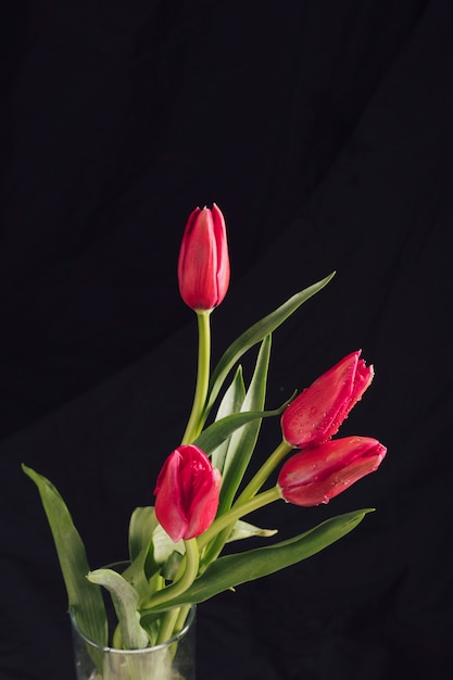 Kostenloses Foto aromatische weinartige blüten mit grünen blättern im tau im vase