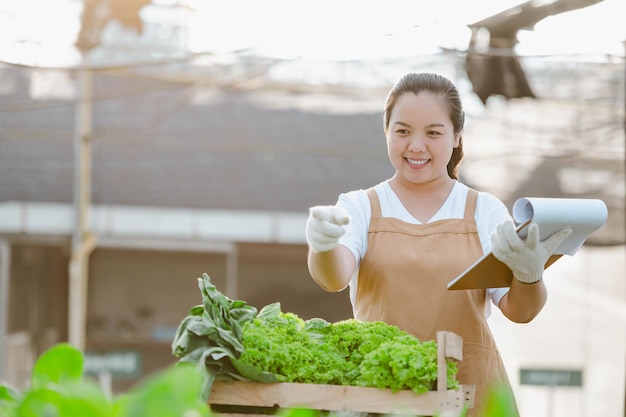 Asiatische Bäuerin, die in einem Bio-Gemüse-Hydroponik-Bauernhof arbeitet. Besitzer eines hydroponischen Salatgartens, der die Qualität des Gemüses in der Gewächshausplantage überprüft.