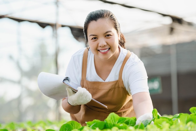 Asiatische Bäuerin, die in einem Bio-Gemüse-Hydroponik-Bauernhof arbeitet. Besitzer eines hydroponischen Salatgartens, der die Qualität des Gemüses in der Gewächshausplantage überprüft.