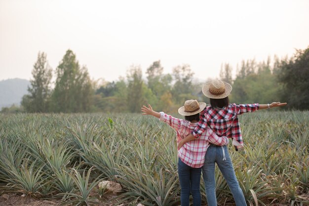 Asiatische Bäuerin sehen Wachstum der Ananas in der Farm, Agrarindustrie-Konzept.