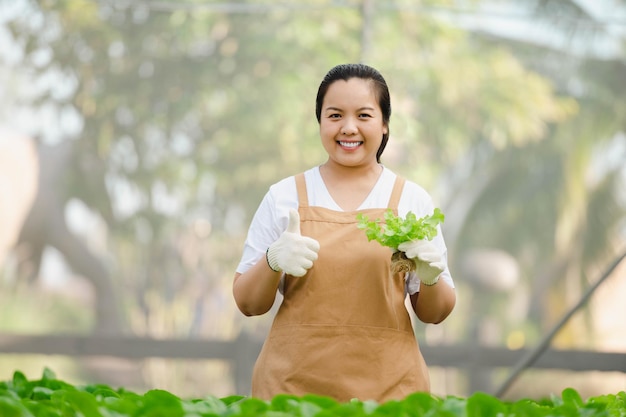 Asiatische bäuerin zeigt qualitätsgemüse in bio-gemüse-hydroponik-farm. plantagenkonzept.