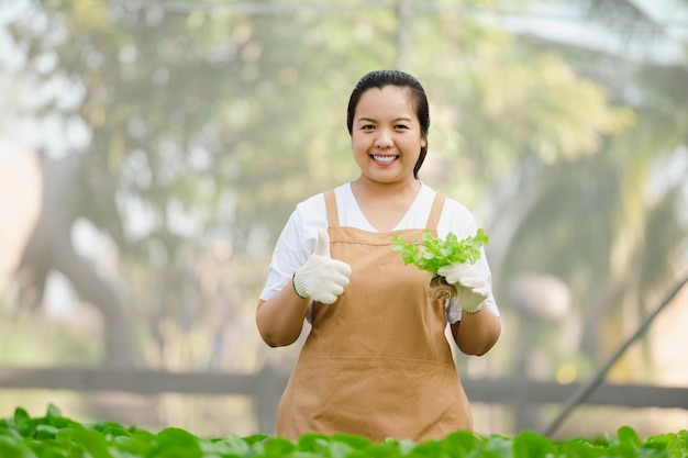 Asiatische Bäuerin zeigt Qualitätsgemüse in Bio-Gemüse-Hydroponik-Farm. Plantagenkonzept.