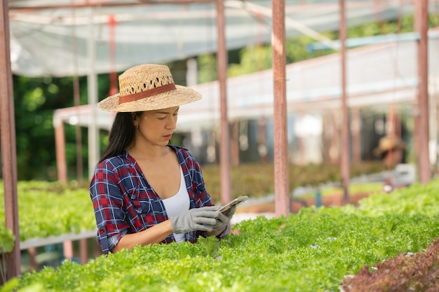 Asiatische bäuerinnen, die mit glück in der gemüse-hydrokultur-farm arbeiten. porträt einer bäuerin, die die qualität des grünen salatgemüses mit einem lächeln im gewächshaus überprüft.