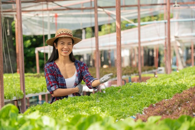 Asiatische Bäuerinnen, die mit Glück in der Gemüse-Hydrokultur-Farm arbeiten. Porträt einer Bäuerin, die die Qualität des grünen Salatgemüses mit einem Lächeln im Gewächshaus überprüft.