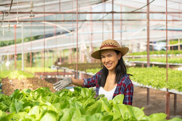 Asiatische Bäuerinnen, die mit Glück in der Gemüse-Hydrokultur-Farm arbeiten. Porträt einer Bäuerin, die die Qualität des grünen Salatgemüses mit einem Lächeln im Gewächshaus überprüft.