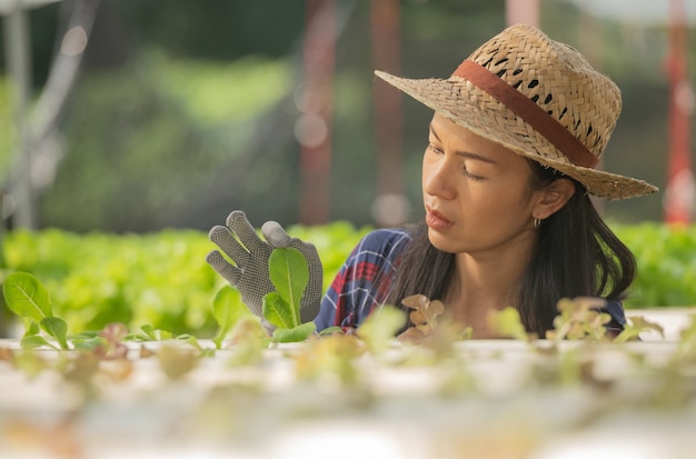Asiatische Bäuerinnen, die mit Glück in der Gemüse-Hydrokultur-Farm arbeiten. Porträt einer Bäuerin, die die Qualität des grünen Salatgemüses mit einem Lächeln im Gewächshaus überprüft.