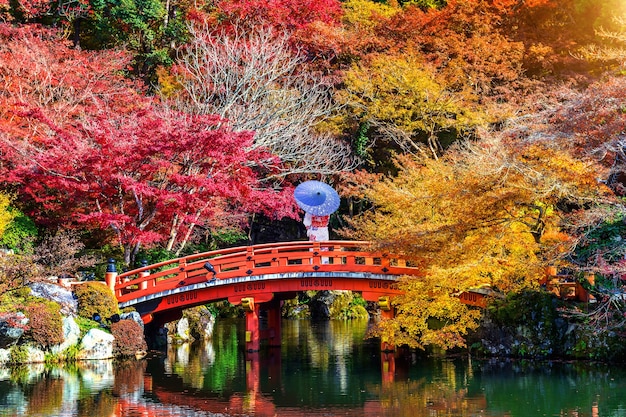 Asiatische Frau, die traditionellen japanischen Kimono im Herbstpark trägt. Japan