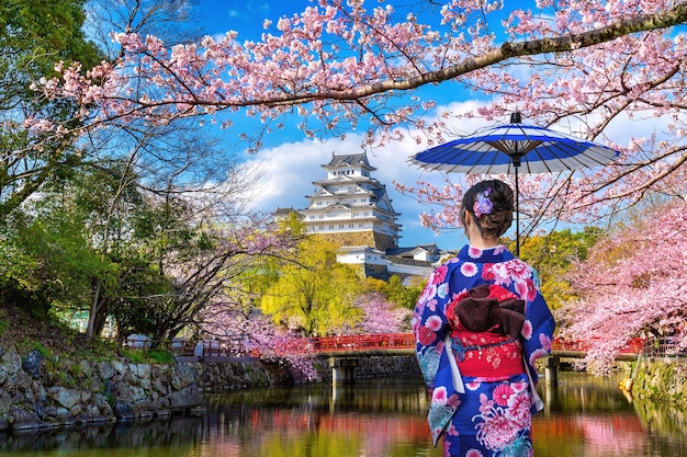 Asiatische Frau, die traditionellen japanischen Kimono trägt, der Kirschblüten und Schloss in Himeji, Japan betrachtet.