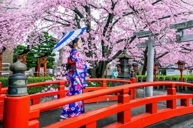 Kostenloses Foto asiatische frau, die traditionellen japanischen kimono und kirschblüte im frühjahr, kyoto-tempel in japan trägt.