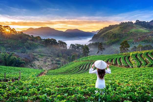 Asiatische Frau, die Vietnamkultur traditionell im Erdbeergarten auf Doi Ang Khang, Chiang Mai, Thailand trägt.