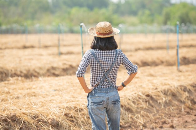 Asiatische junge Bäuerin im Hut stehend und in Feldfrau zur Inspektion im landwirtschaftlichen Garten gehend. Pflanzenwachstum. Konzept Ökologie, Transport, saubere Luft, Lebensmittel, Bioprodukt.