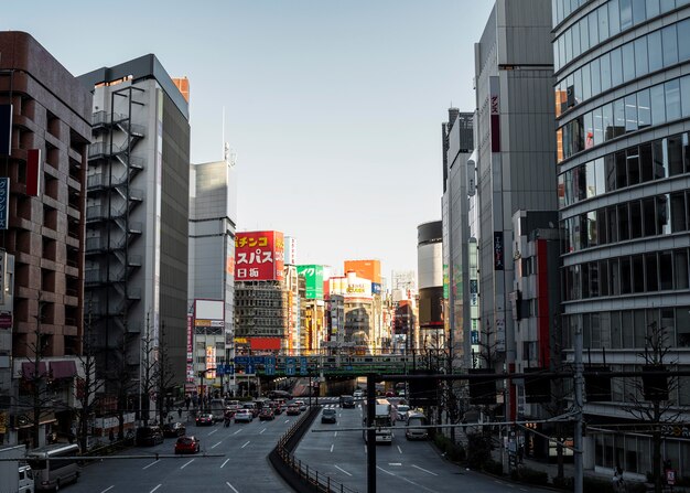 Asiatische Landarchitektur der Stadtlandschaft